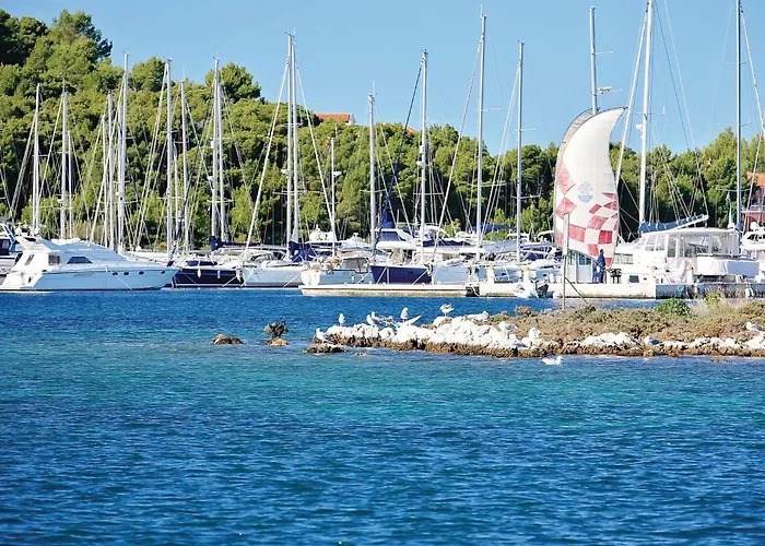 Daire Cozy In Rogoznicko